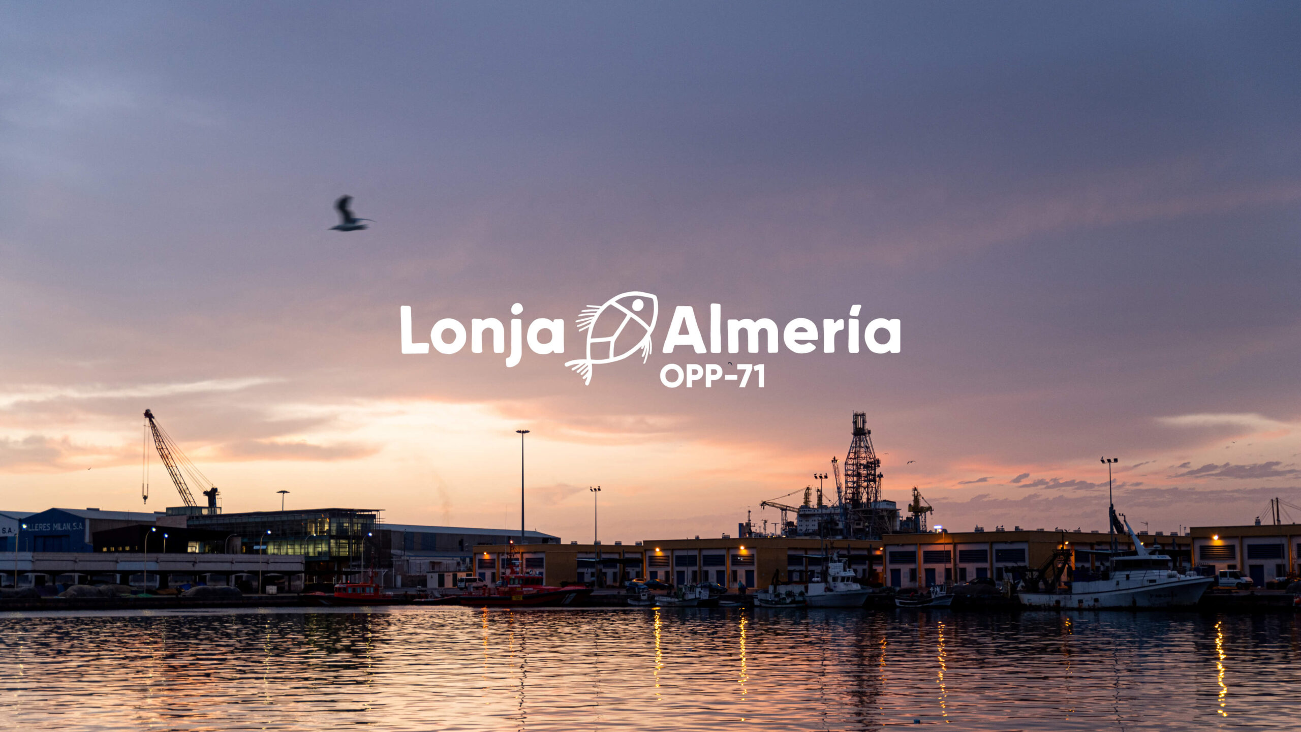 La Lonja de Almería estrena marca